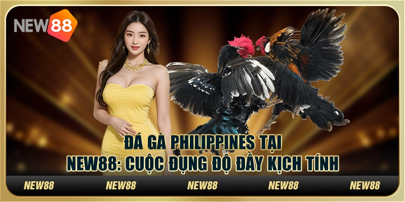 Đá Gà Philippines tại New88: Cuộc đụng độ đầy kịch tính
