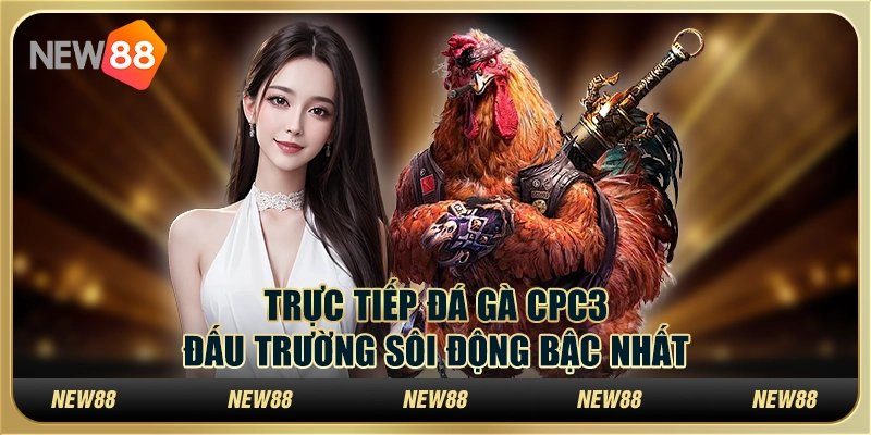 Trực tiếp đá gà CPC3 : Đấu trường sôi động bậc nhất
