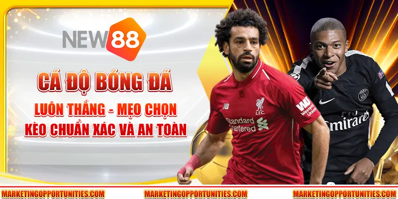 Cá độ bóng đá luôn thắng - Mẹo chọn kèo chuẩn xác và an toàn