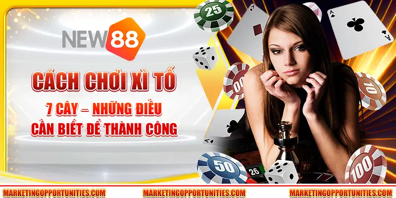 Cách chơi xì tố 7 cây – Những điều cần biết để thành công
