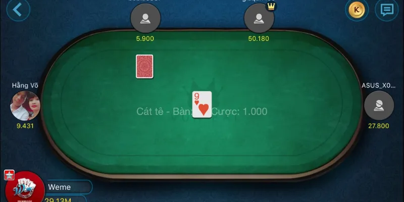 Tổng hợp thông tin cơ bản về Catte