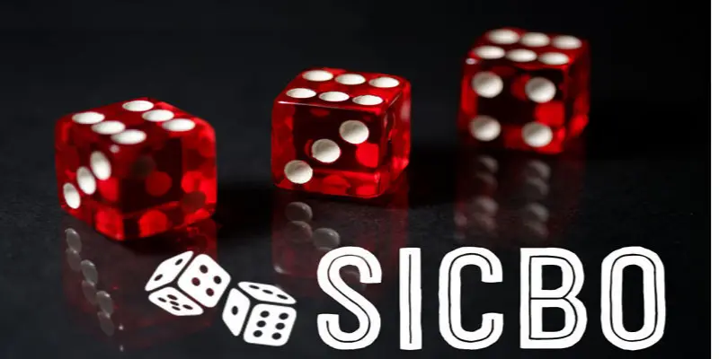 Các loại cược trong cách chơi Sicbo tại nhà cái