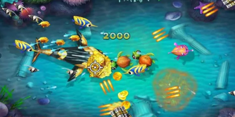 Nghiên cứu các loại cá trong trò chơi bắn cá