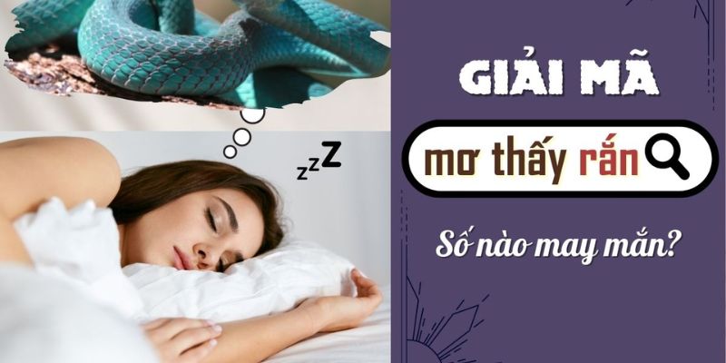 Khám phá ý nghĩa giấc mơ tại nhà cái