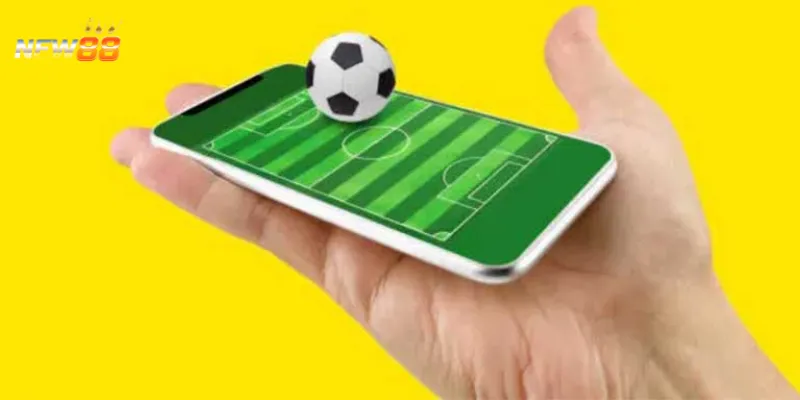 Giải mã các thuật ngữ và cách đọc tỷ lệ kèo nhà cái hiệu quả