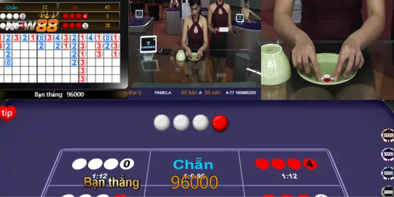 Những điều cần biết về xóc đĩa và ứng dụng xác suất