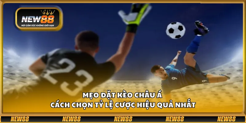 Mẹo đặt kèo châu Á - Cách chọn tỷ lệ cược hiệu quả nhất